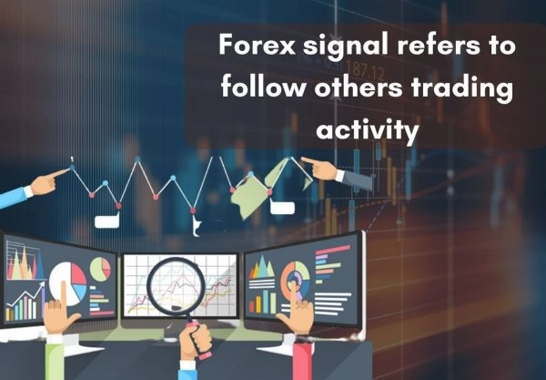 Forex Signal Activity