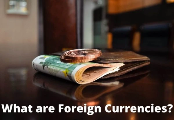 Foreign Currencies