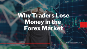 loss money in forex