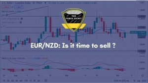 ERU/NZD Technical analysis
